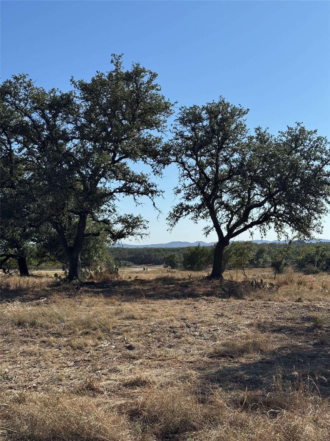 Image 5 of 19 For 30 Coastal Loop