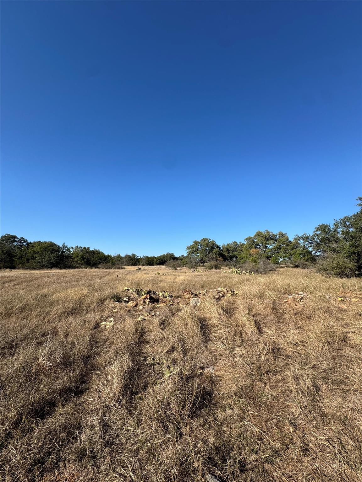 Image 7 of 19 For 30 Coastal Loop