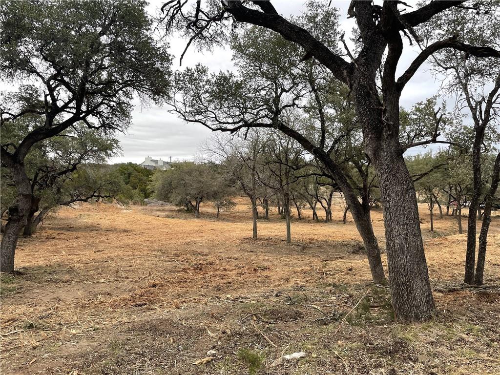 Details for 19732 Thurman Bend Rd, Spicewood, TX 78669