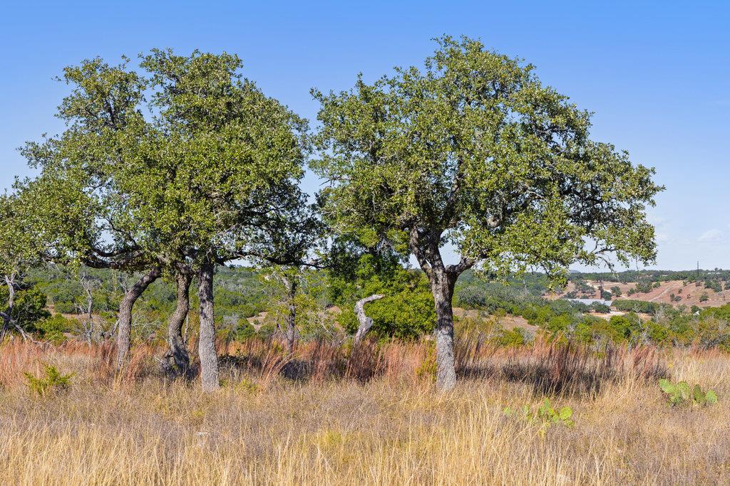 Image 10 of 20 For 41 Moon Beam Ct