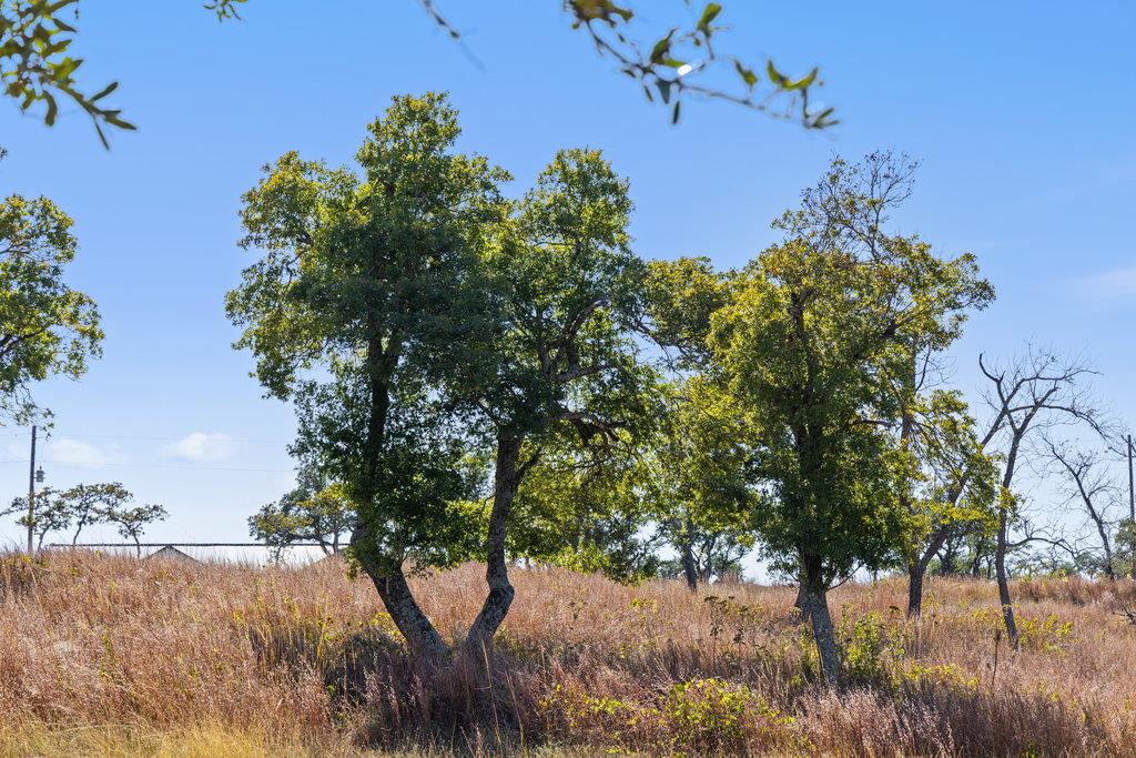 Image 9 of 20 For 41 Moon Beam Ct