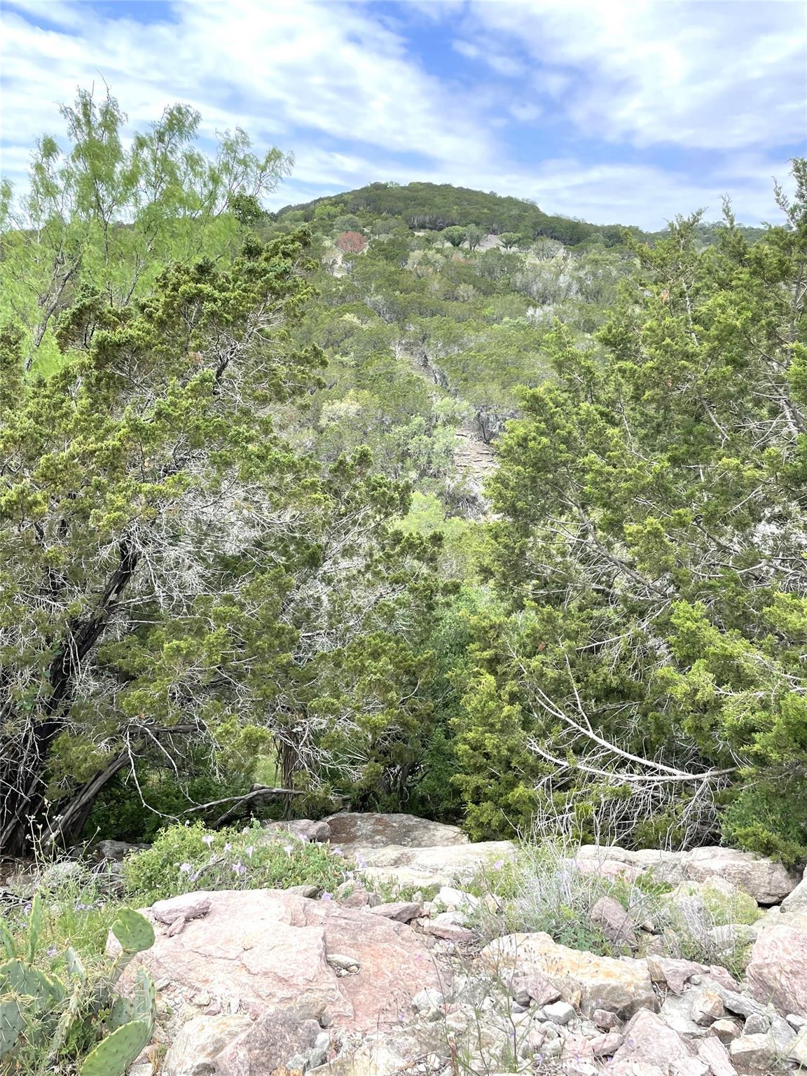 Image 14 of 23 For 0 Mountain Laurel Ln