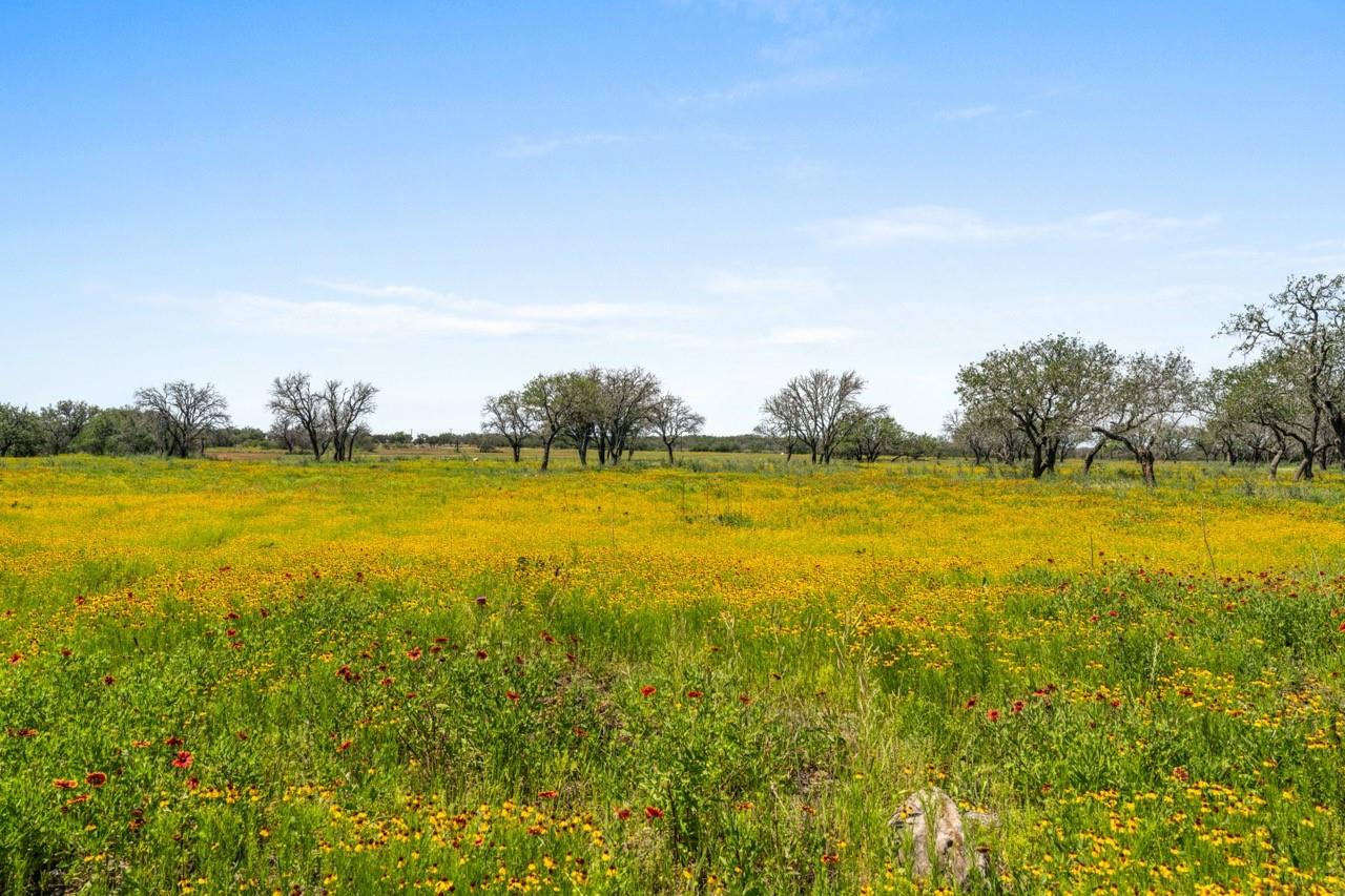 Image 17 of 33 For 1594 #2 Ranch Road 1320