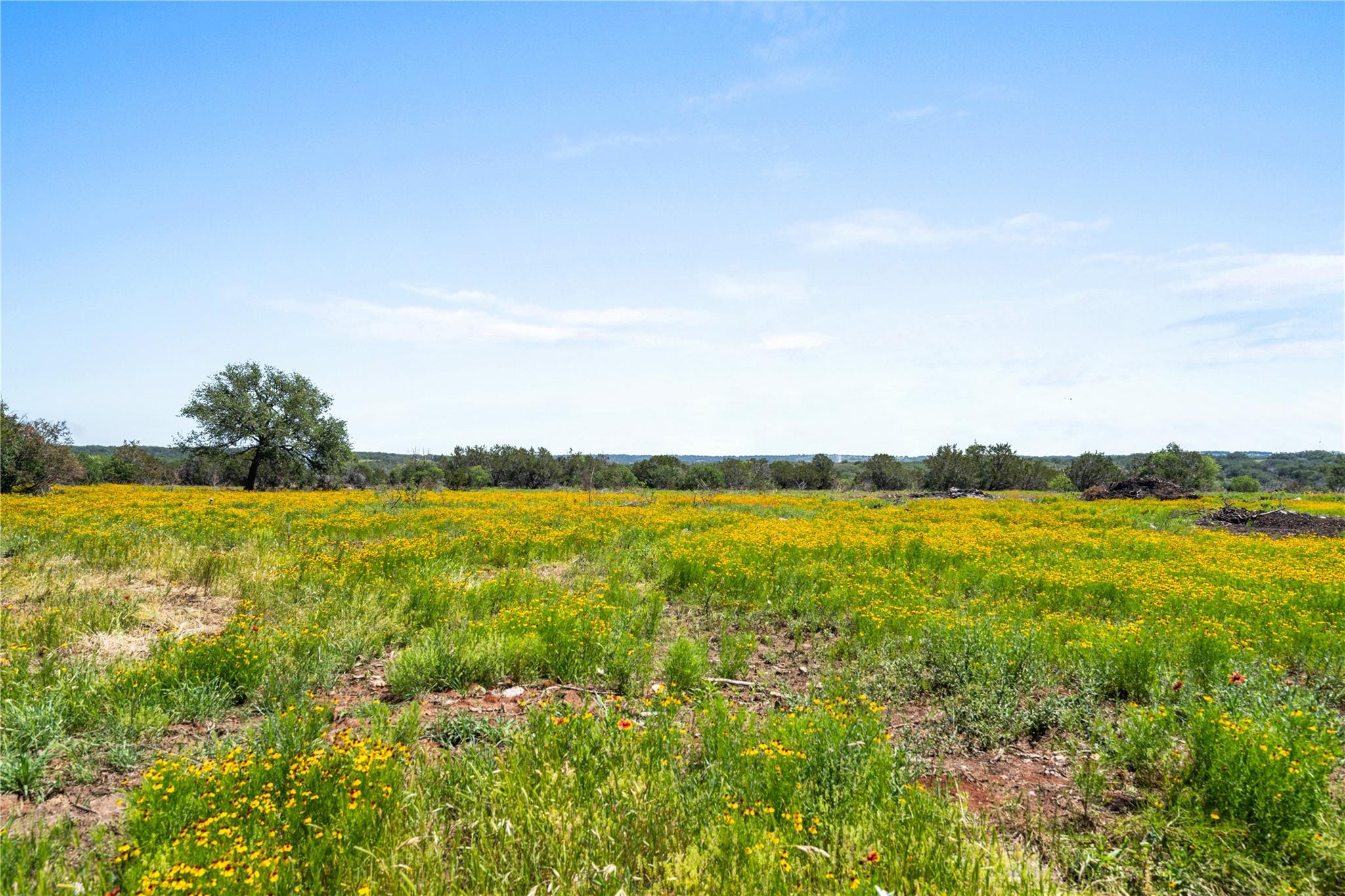 Image 18 of 33 For 1594 #2 Ranch Road 1320