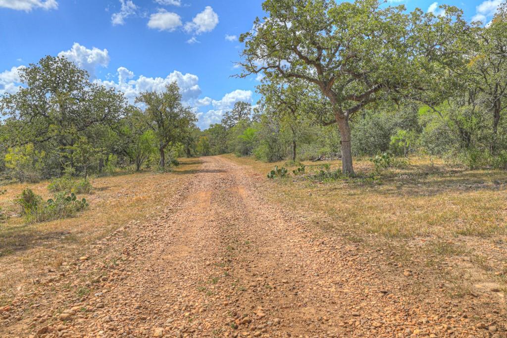 Image 19 of 32 For 2354 Fm 2438