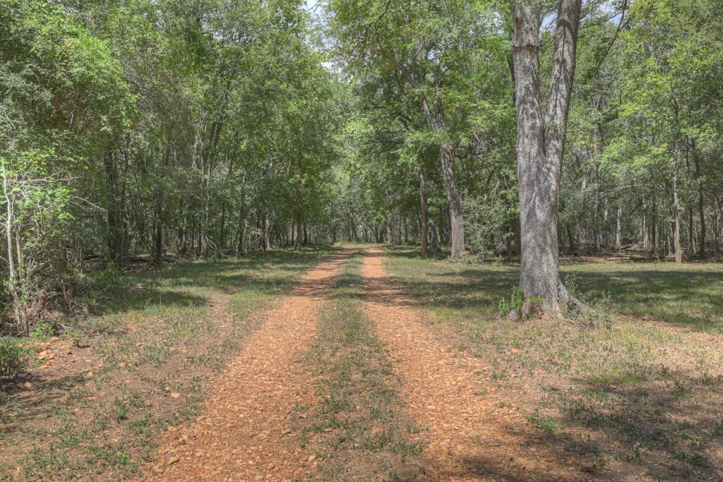 Image 25 of 32 For 2354 Fm 2438