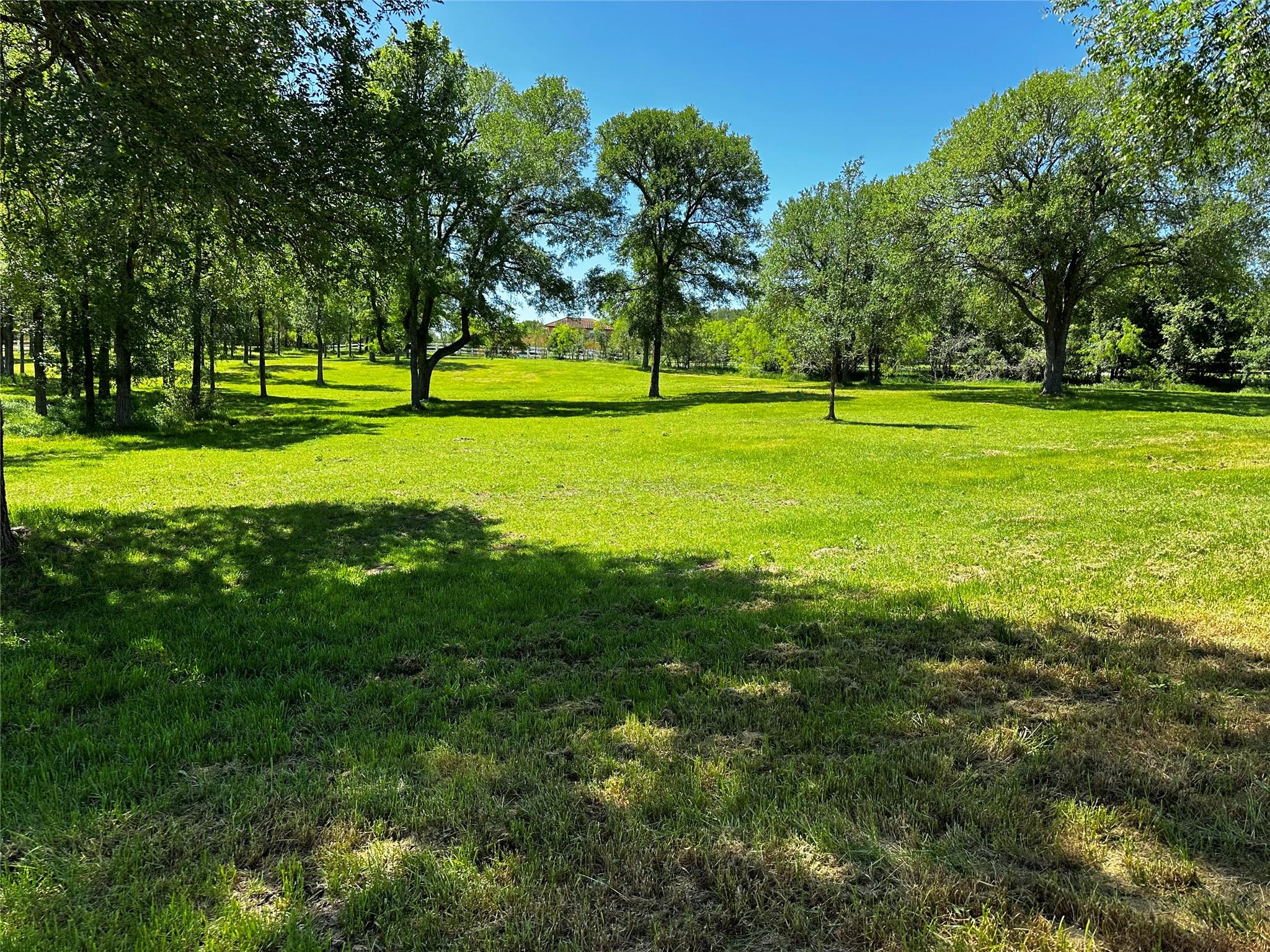 Details for 197 Colorado Dr, Cedar Creek, TX 78612