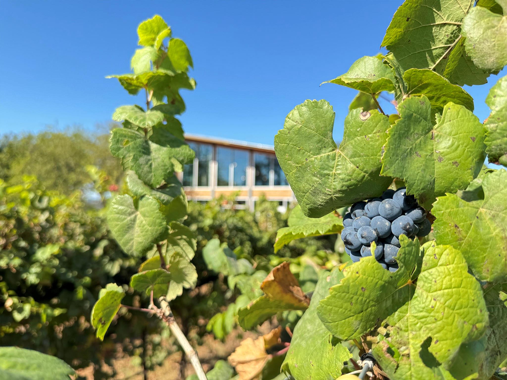 Image 33 of 39 For 9361 Us Highway 290 106