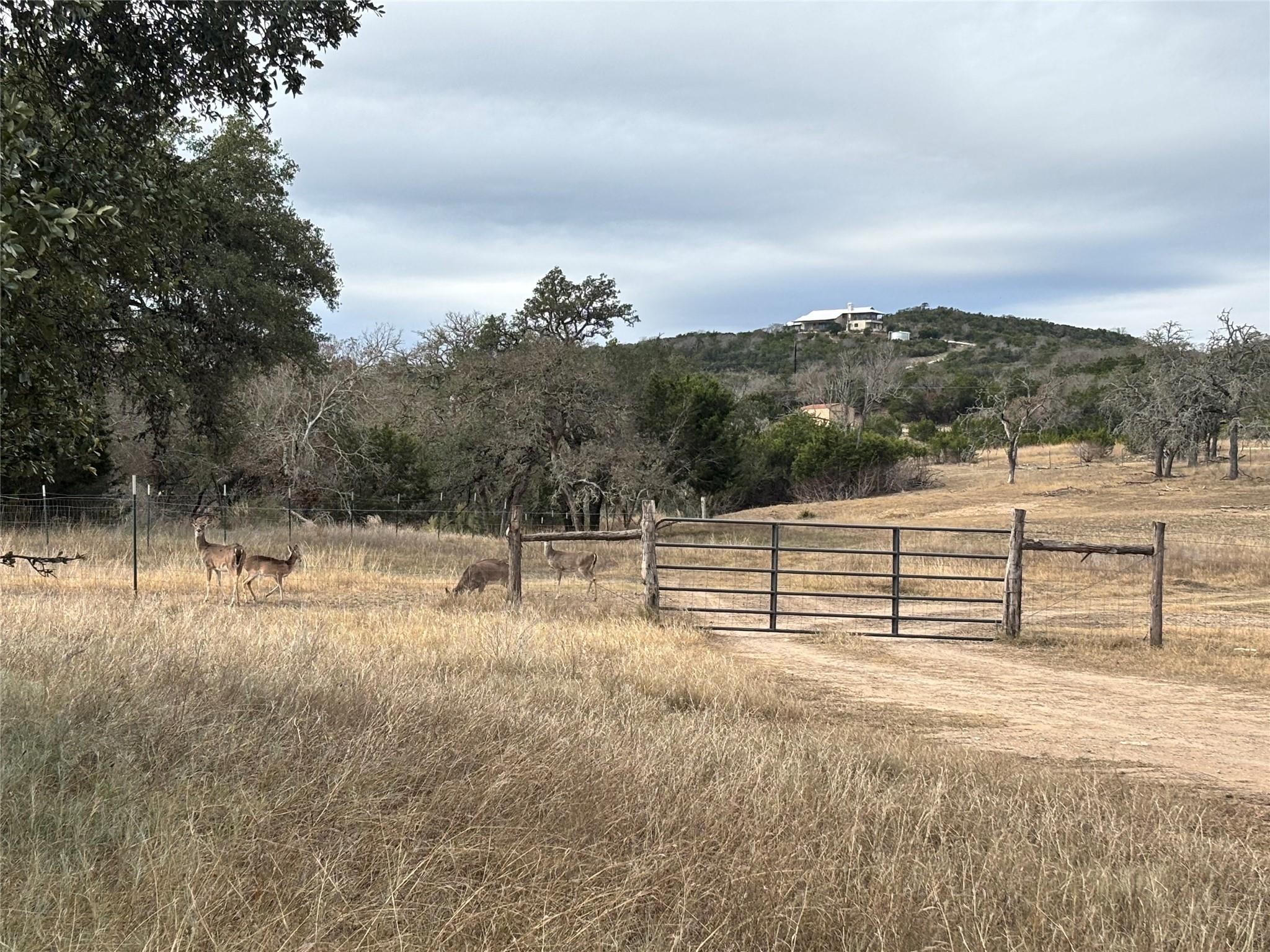 Image 14 of 33 For 105 Lost Valley Rd