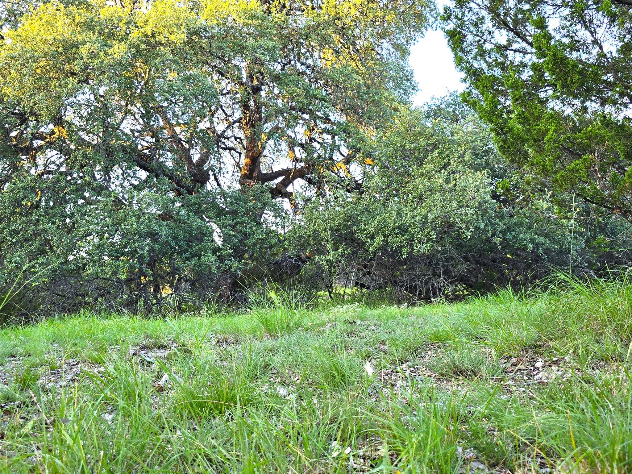 Image 12 of 21 For 728 Cr 206  