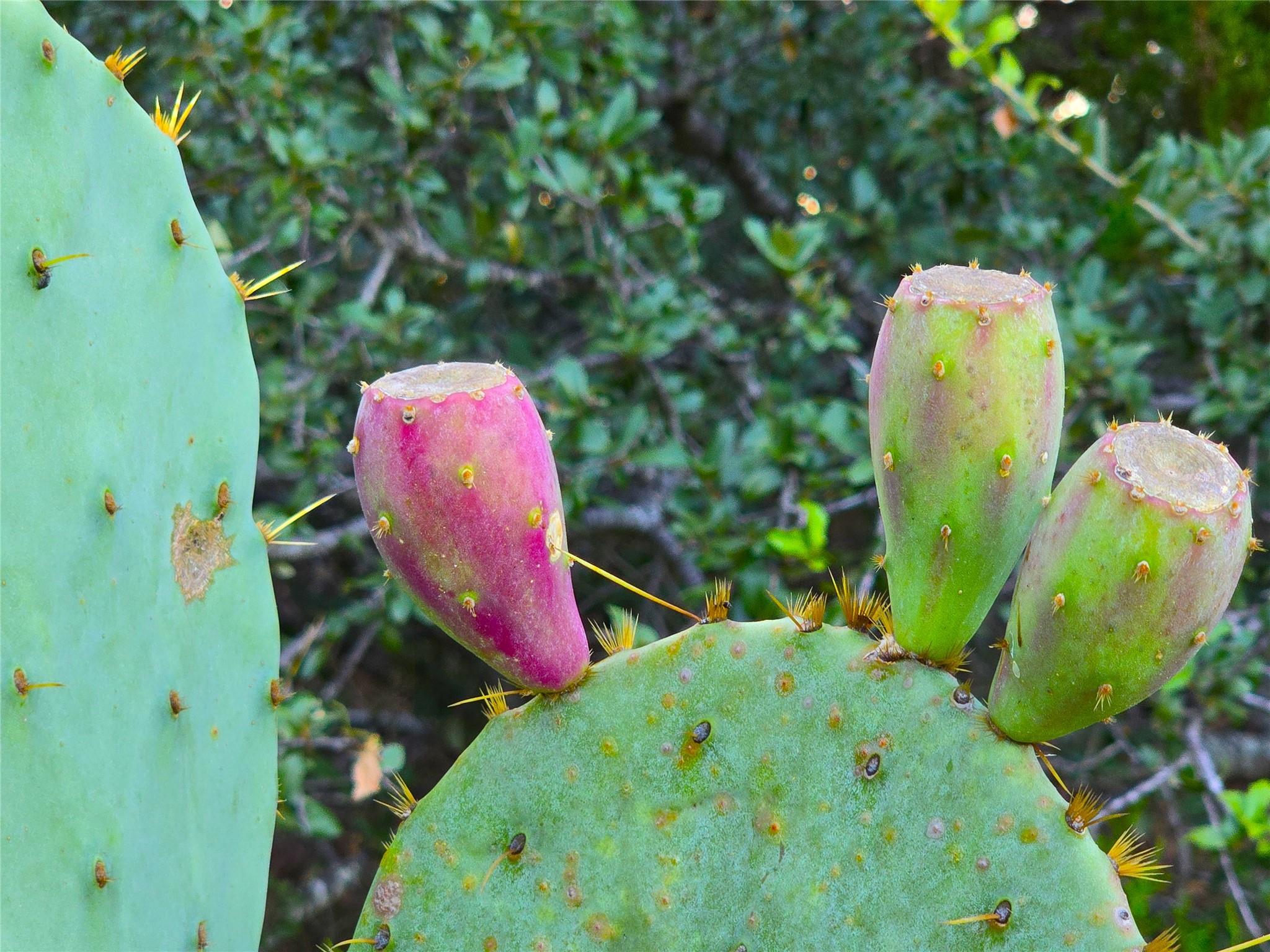 Image 13 of 21 For 728 Cr 206  