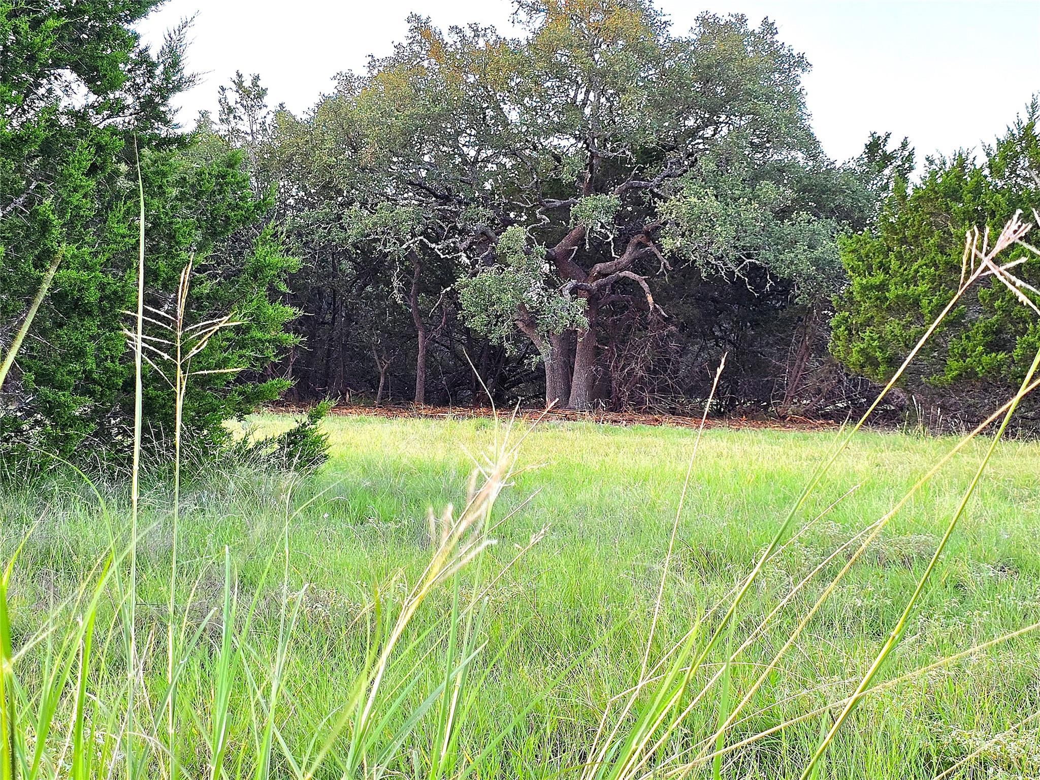 Image 4 of 21 For 728 Cr 206  