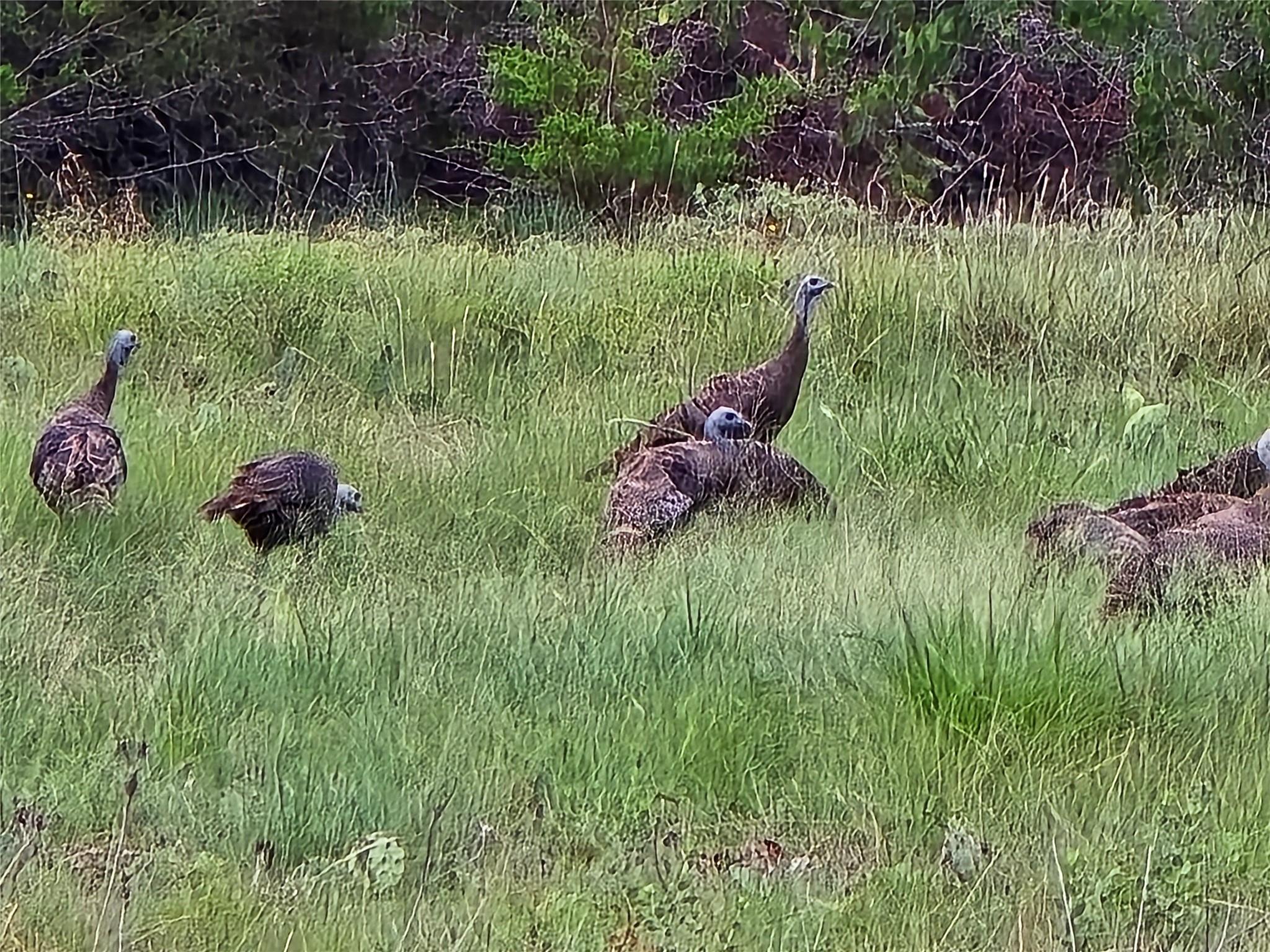 Image 6 of 21 For 728 Cr 206  