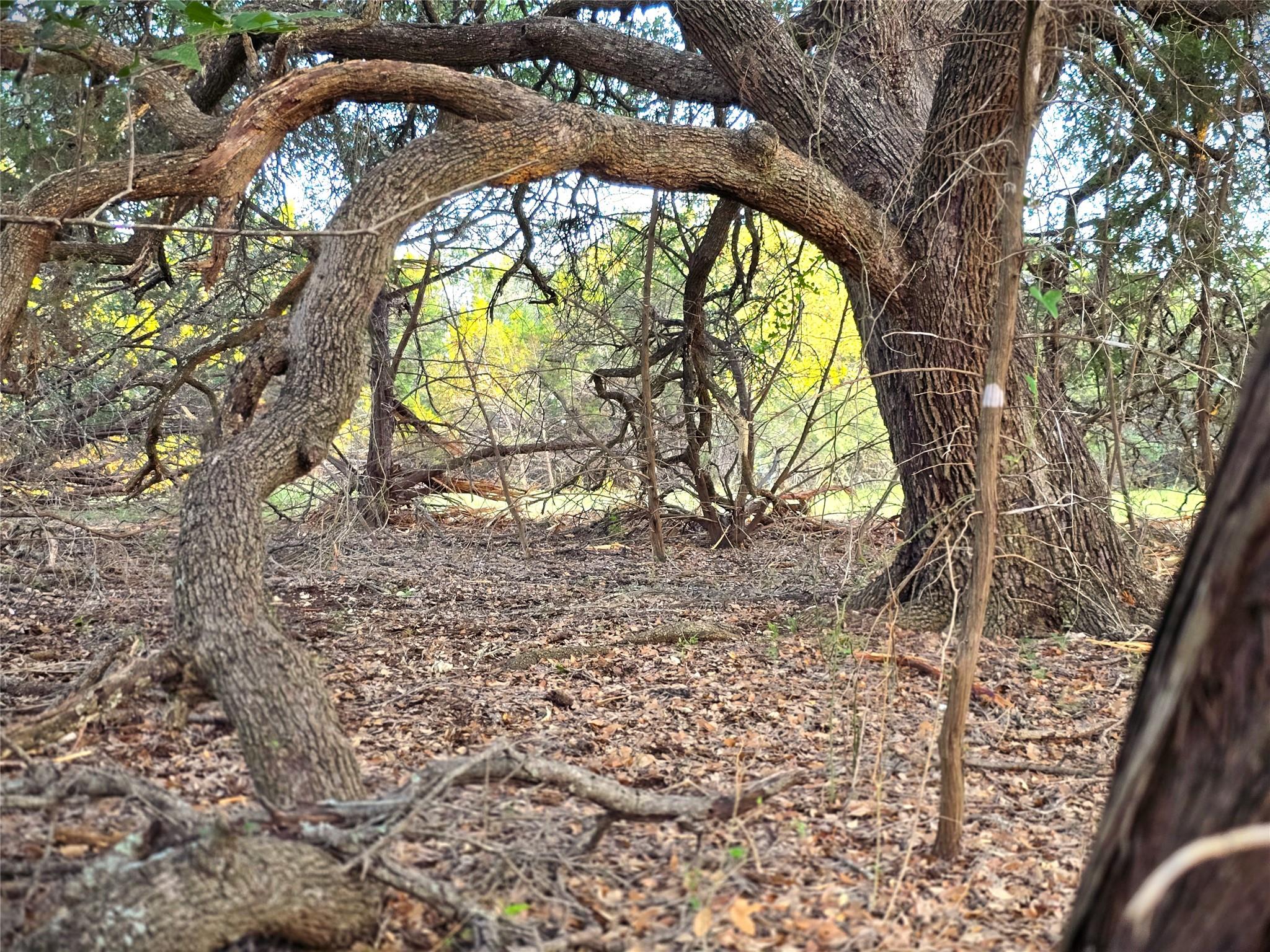 Image 7 of 21 For 728 Cr 206  