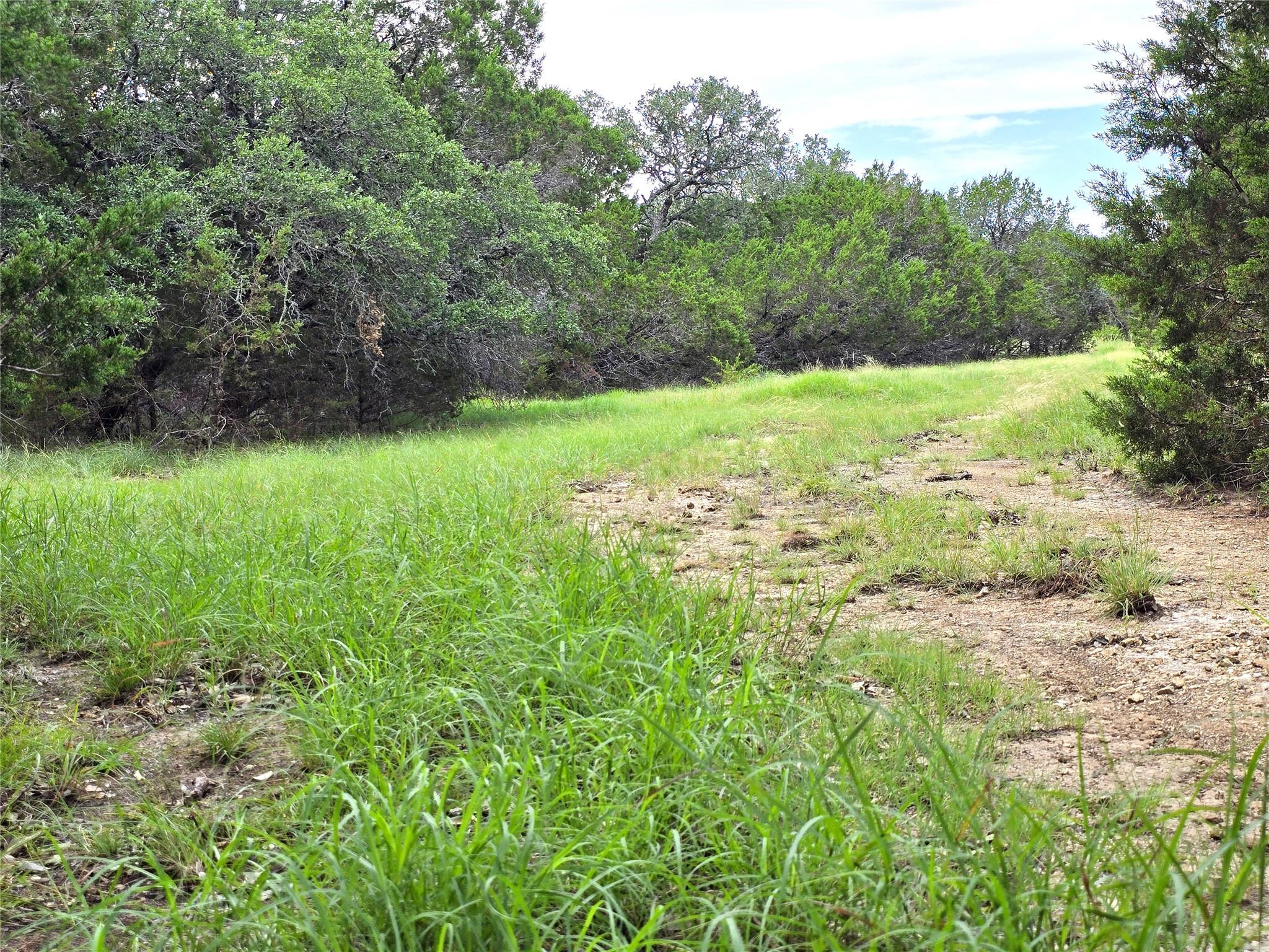 Image 9 of 21 For 728 Cr 206  