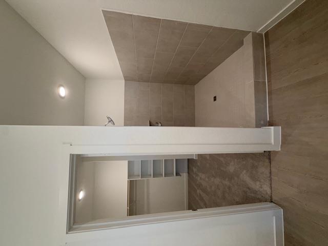 Image 3 of 11 For 1906 Wood Warbler