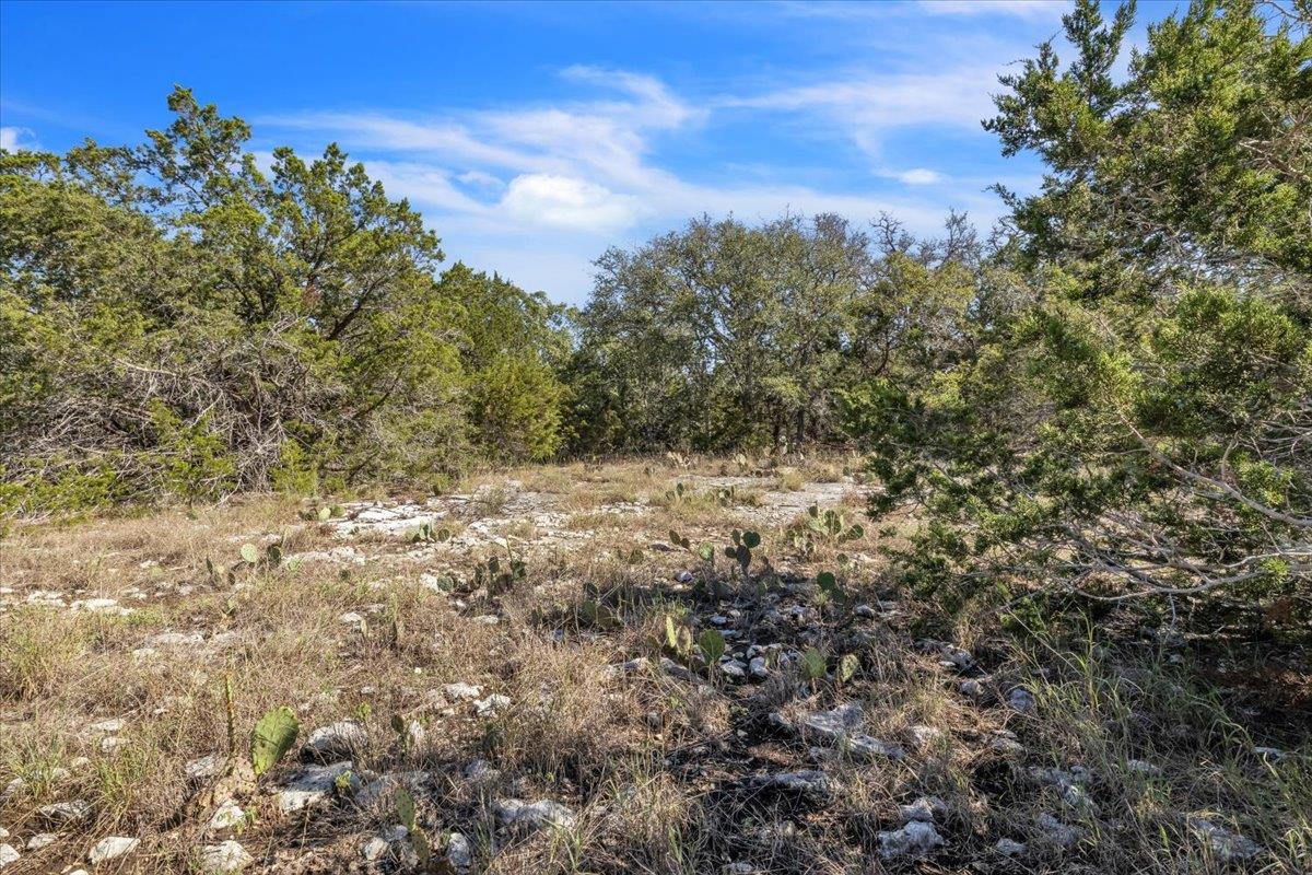 Image 12 of 30 For Tbd 17.9 Acres Altwein Rd