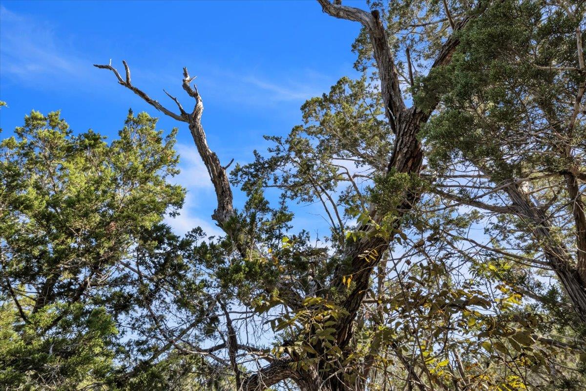 Image 15 of 30 For Tbd 17.9 Acres Altwein Rd