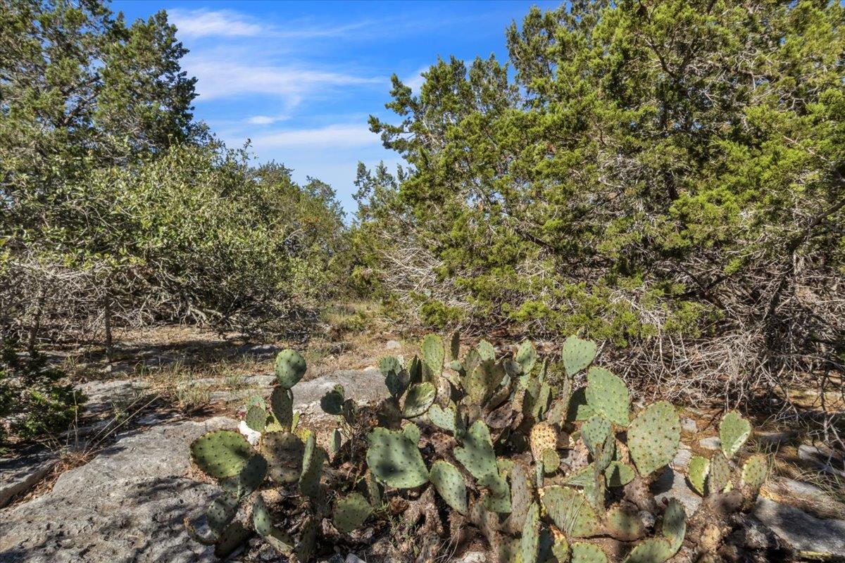 Image 16 of 30 For Tbd 17.9 Acres Altwein Rd