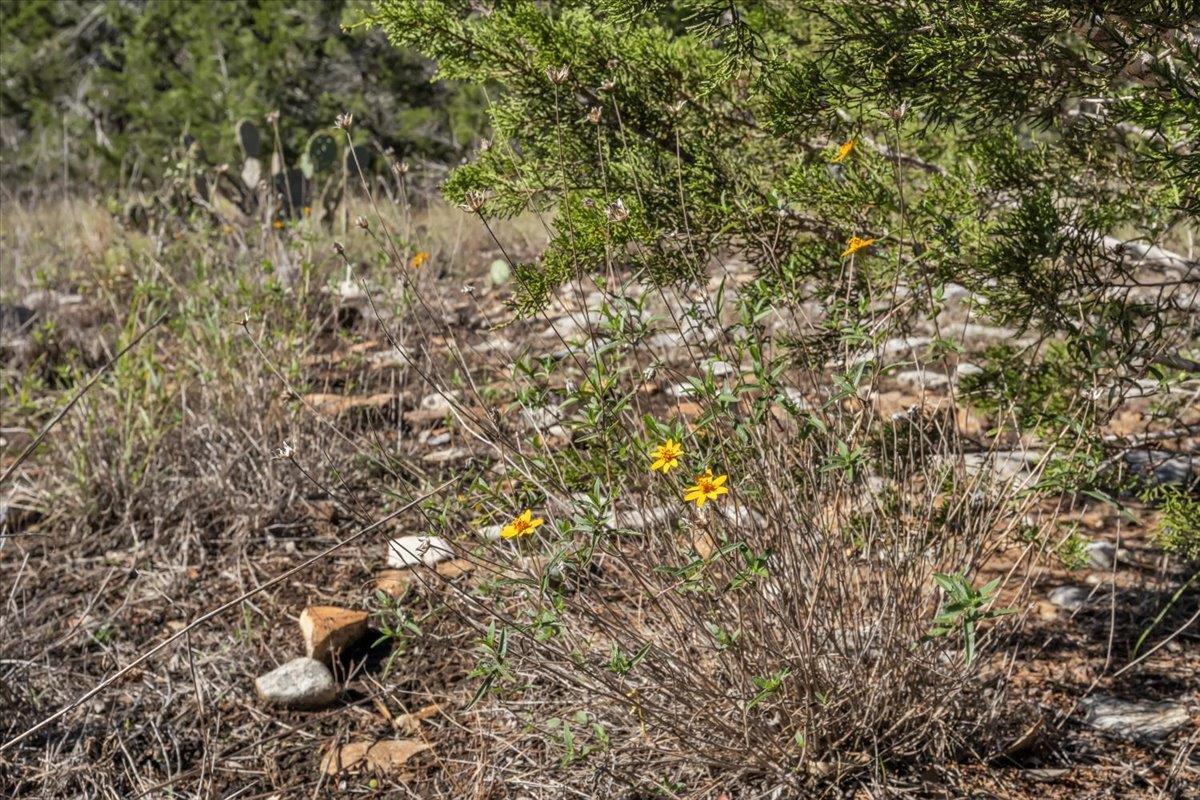 Image 18 of 30 For Tbd 17.9 Acres Altwein Rd