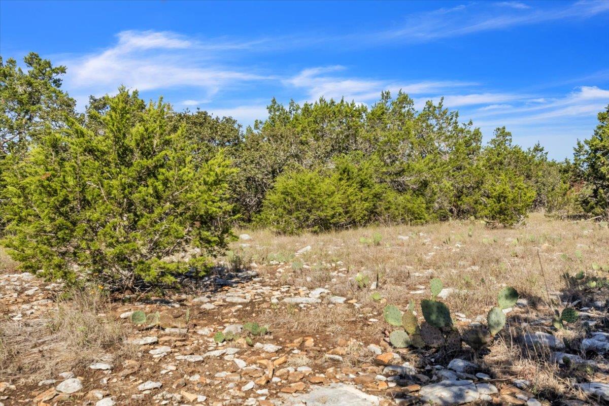 Image 19 of 30 For Tbd 17.9 Acres Altwein Rd