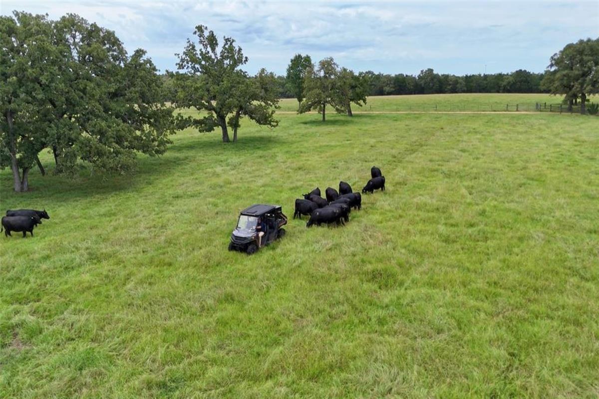 Image 34 of 40 For 705 Antioch Rd