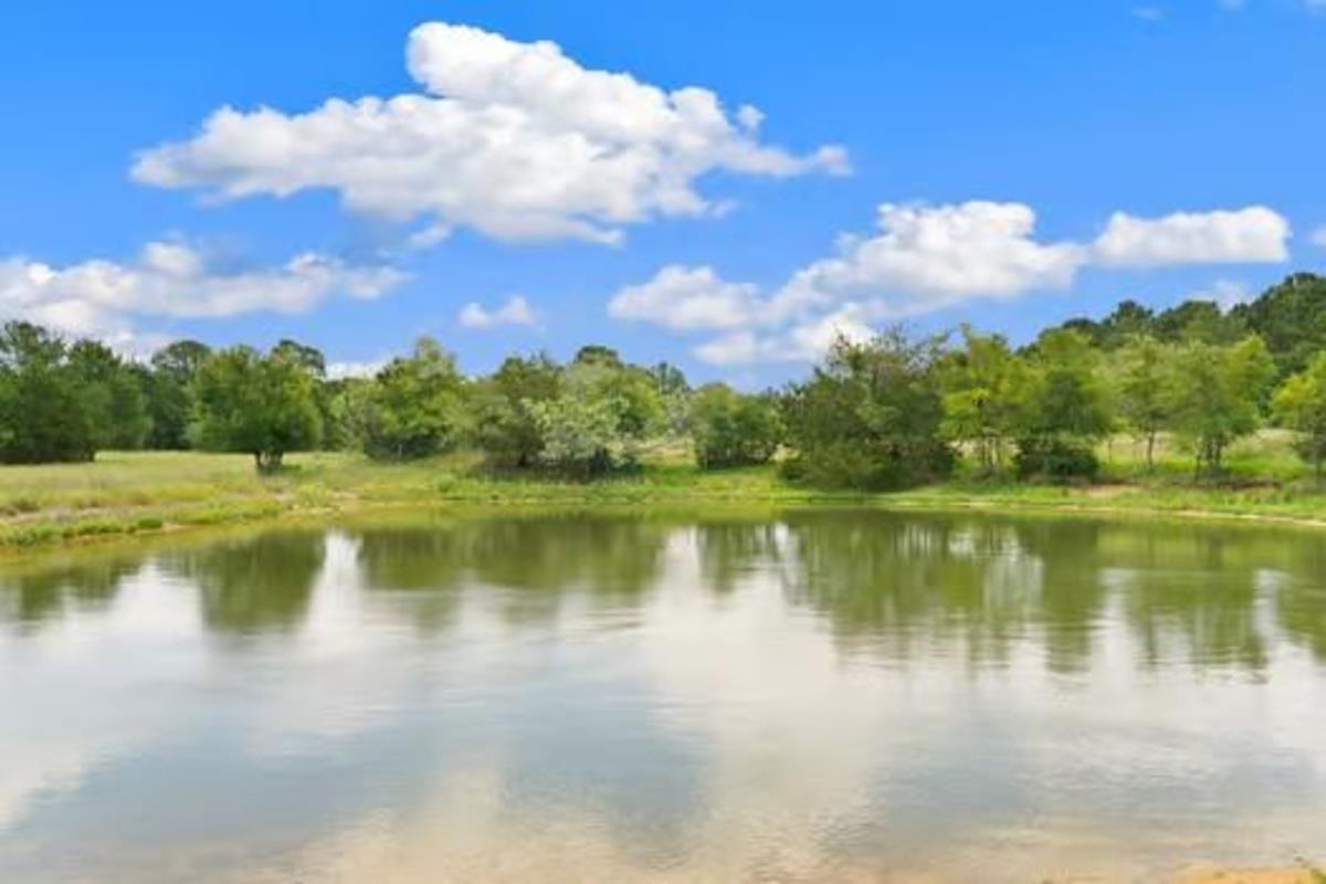 Image 7 of 40 For 705 Antioch Rd