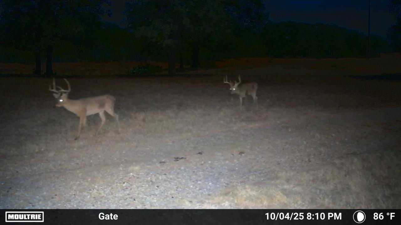 Image 18 of 26 For 2464 County Road 249