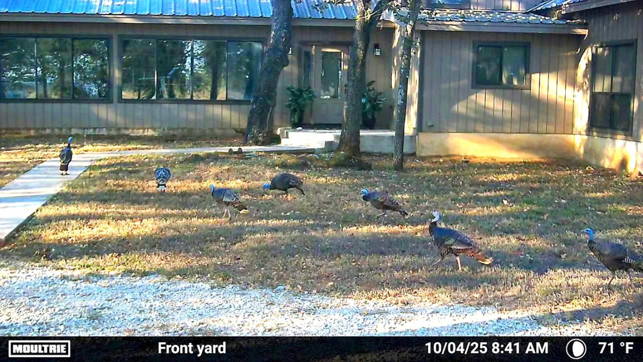 Image 19 of 26 For 2464 County Road 249