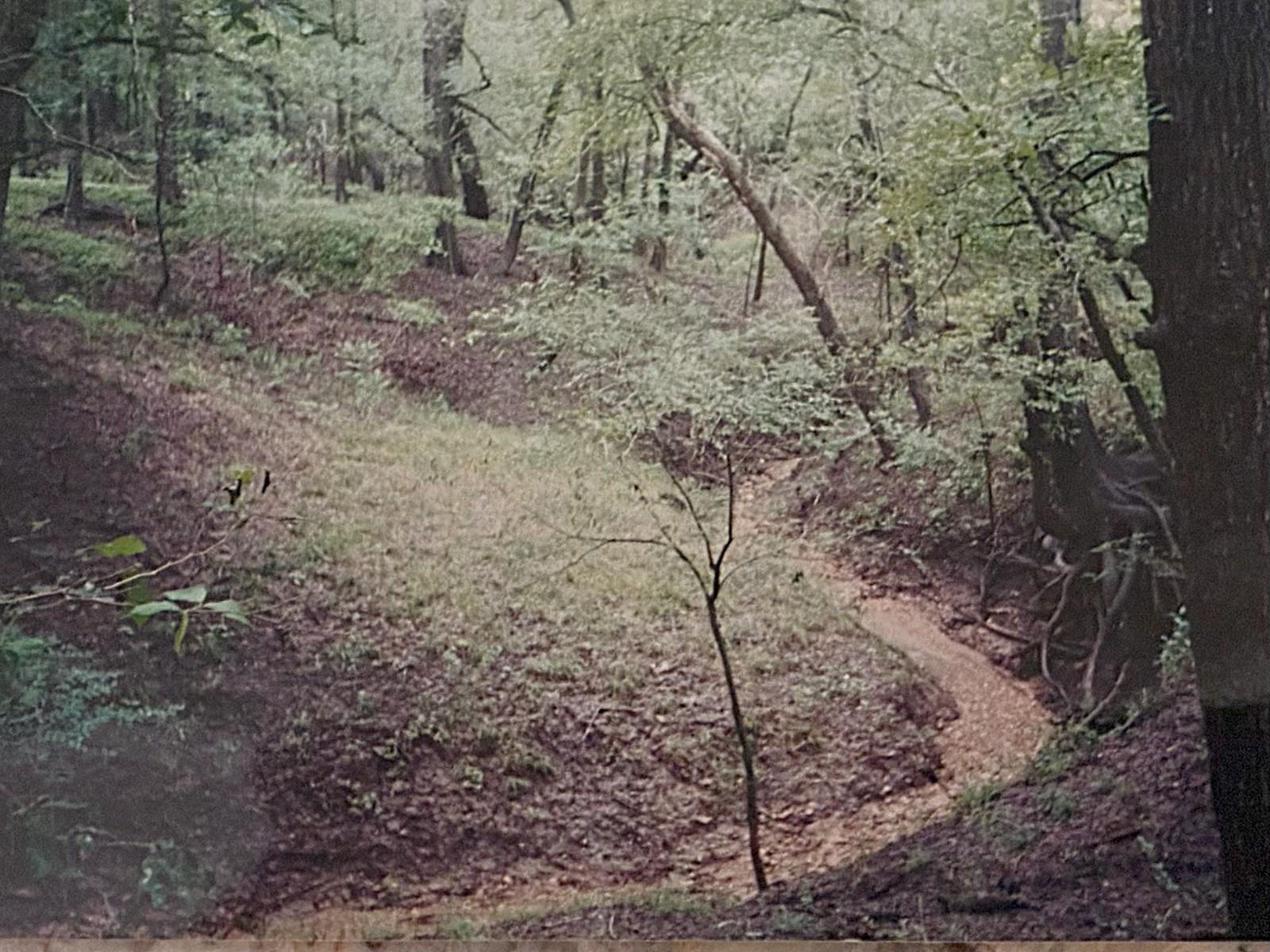 Image 22 of 26 For 2464 County Road 249