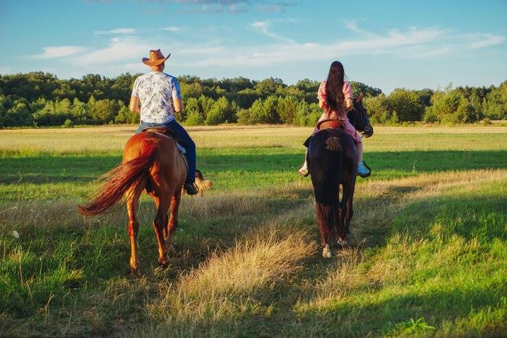 Image 25 of 26 For 2464 County Road 249