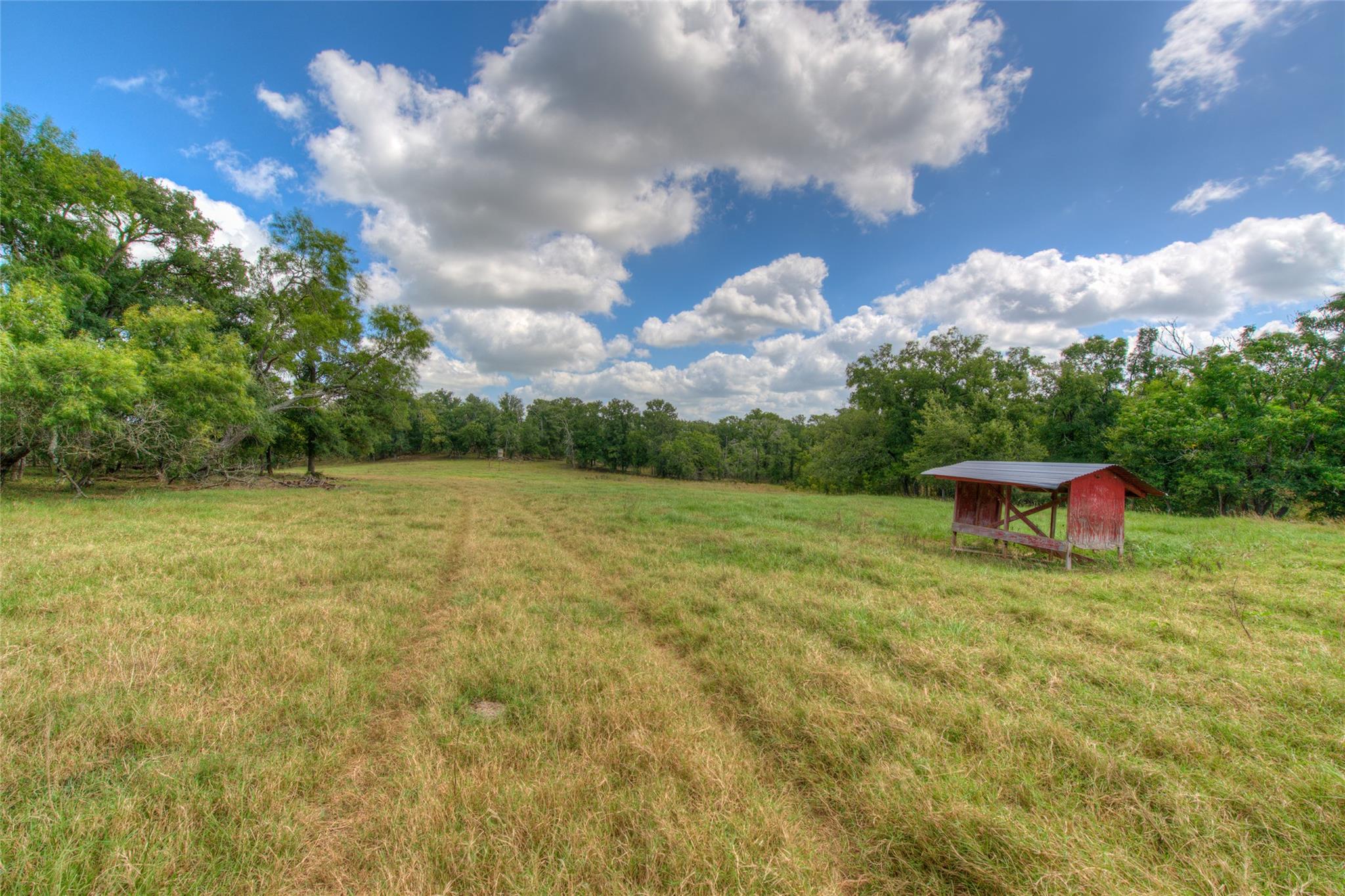 Image 5 of 26 For 2464 County Road 249