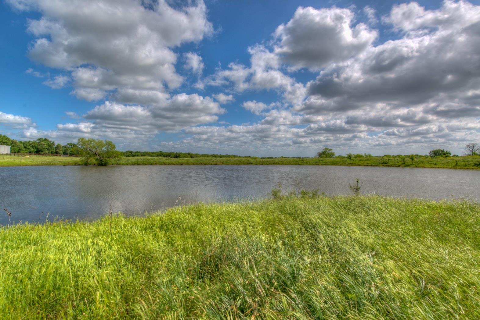 Image 6 of 26 For 2464 County Road 249