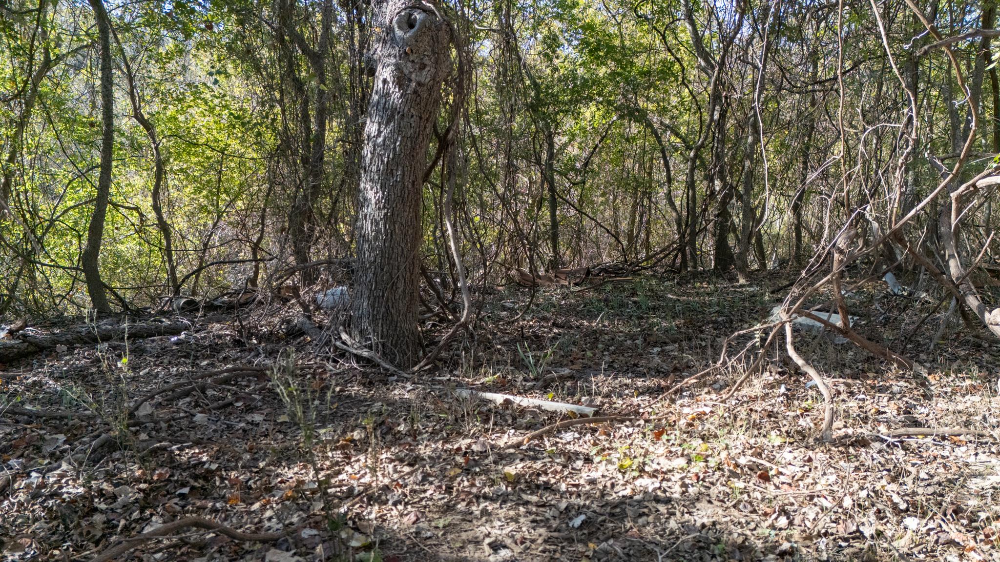 Image 12 of 12 For Tbd Darst Creek Ln