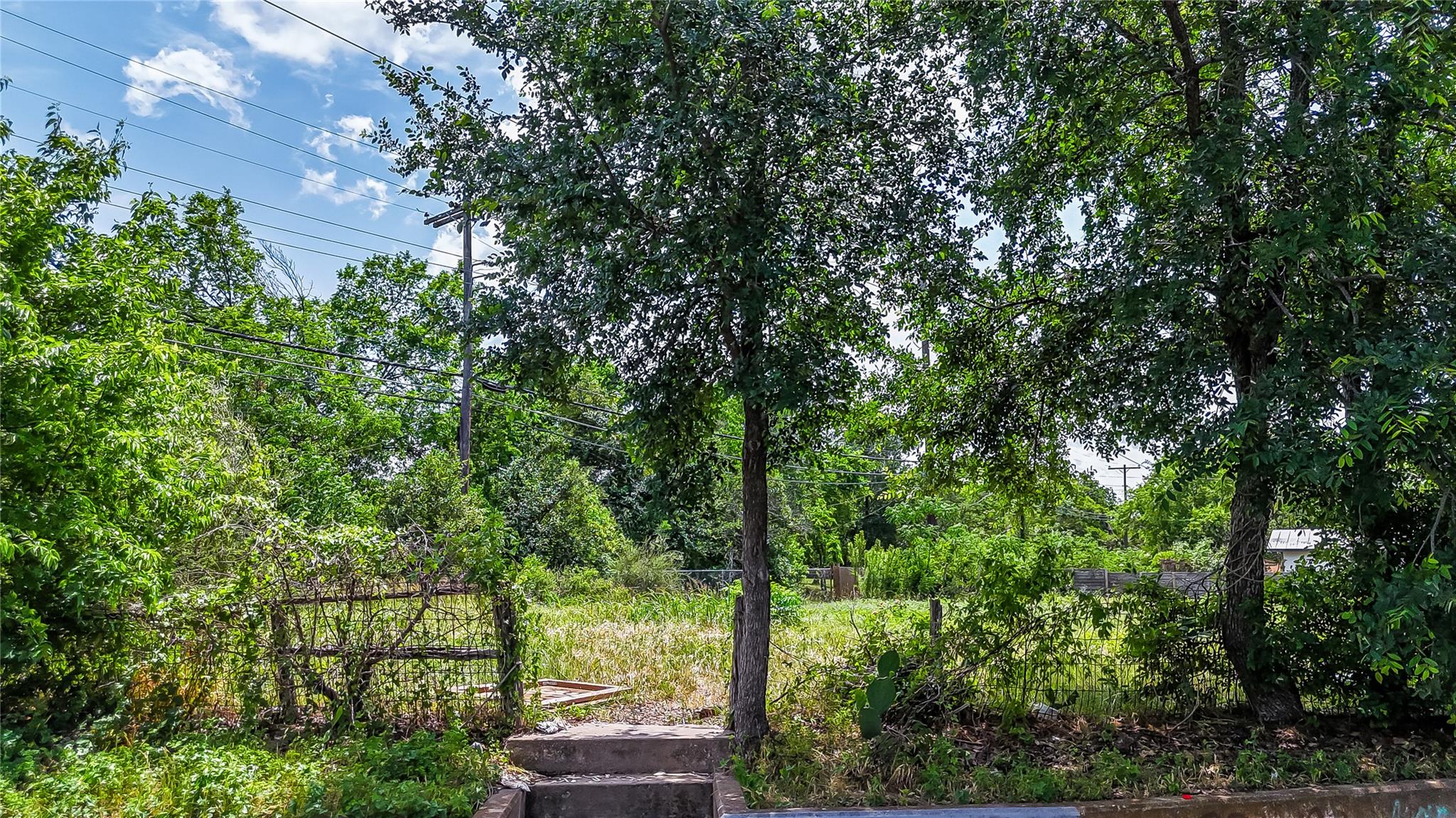 Image 14 of 14 For 1405 Rosewood Ave