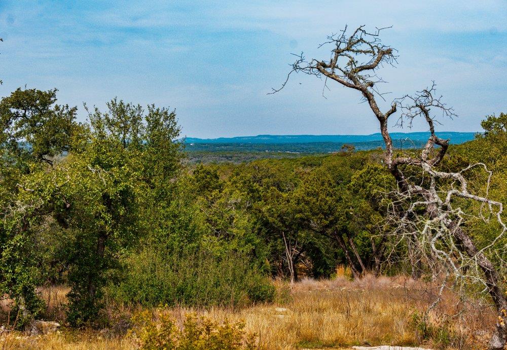 Image 10 of 16 For 6026 Sentry Pt