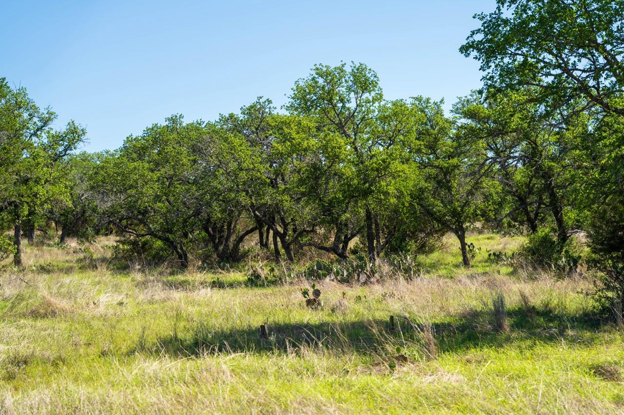 Image 3 of 7 For 62 Balcones Dr