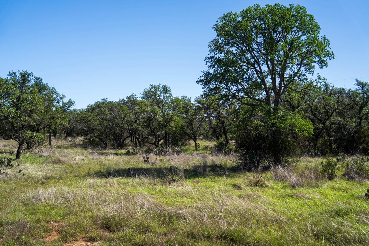 Image 4 of 7 For 62 Balcones Dr