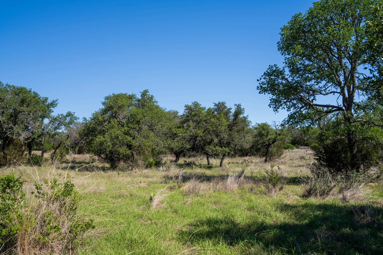 Image 6 of 7 For 62 Balcones Dr