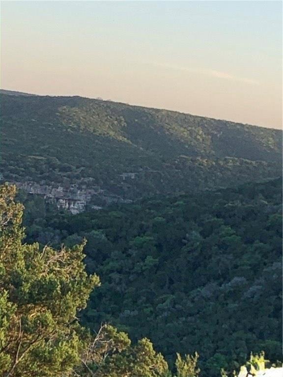 Details for 20 Winchester Rd, Leakey, TX 78873