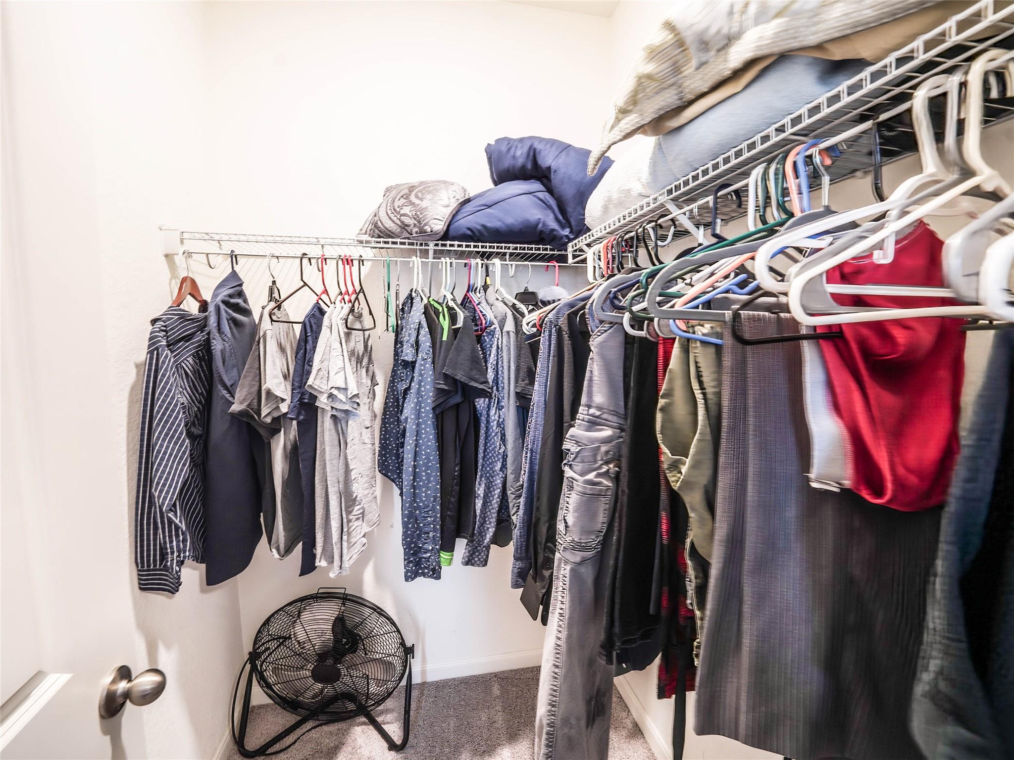 Image 29 of 34 For 4814 Flying Hooves