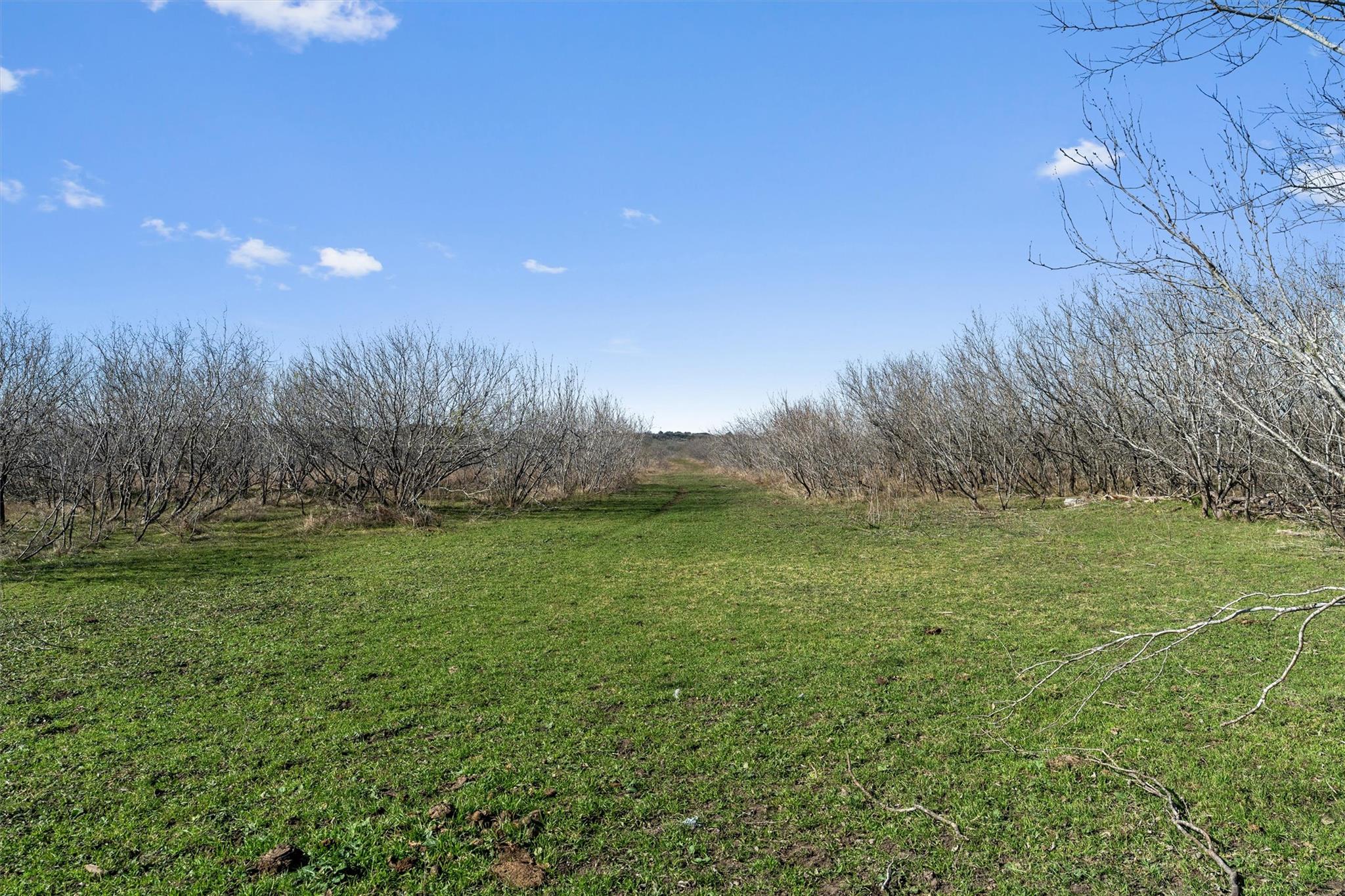 Image 17 of 38 For 00 Rolling Ridge Rd