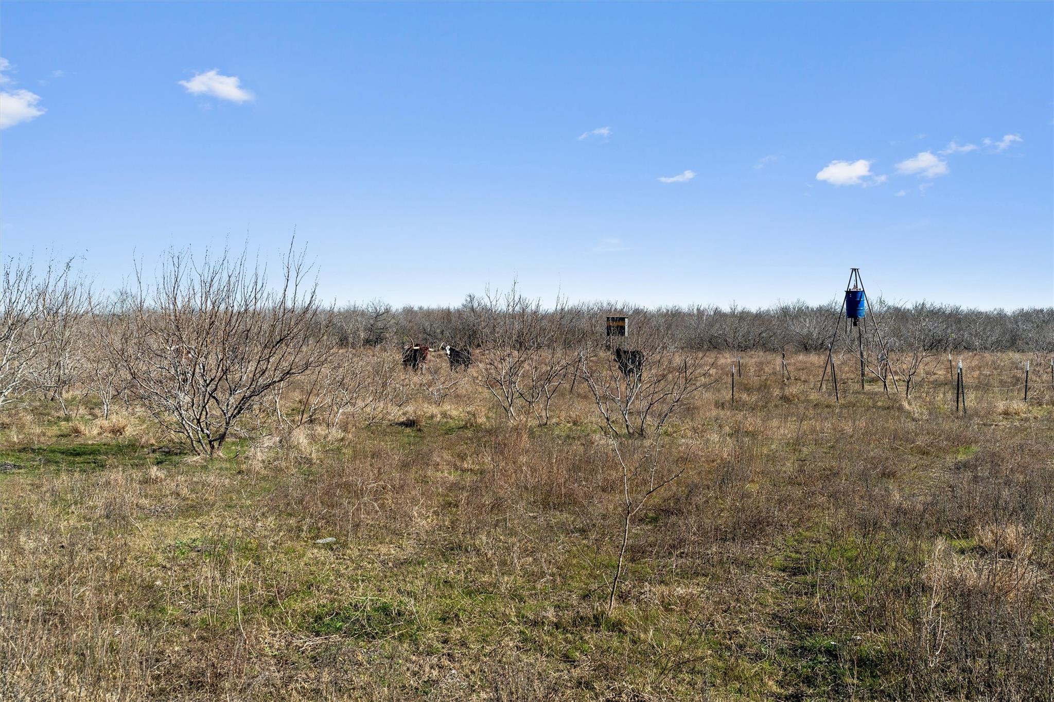 Image 21 of 38 For 00 Rolling Ridge Rd