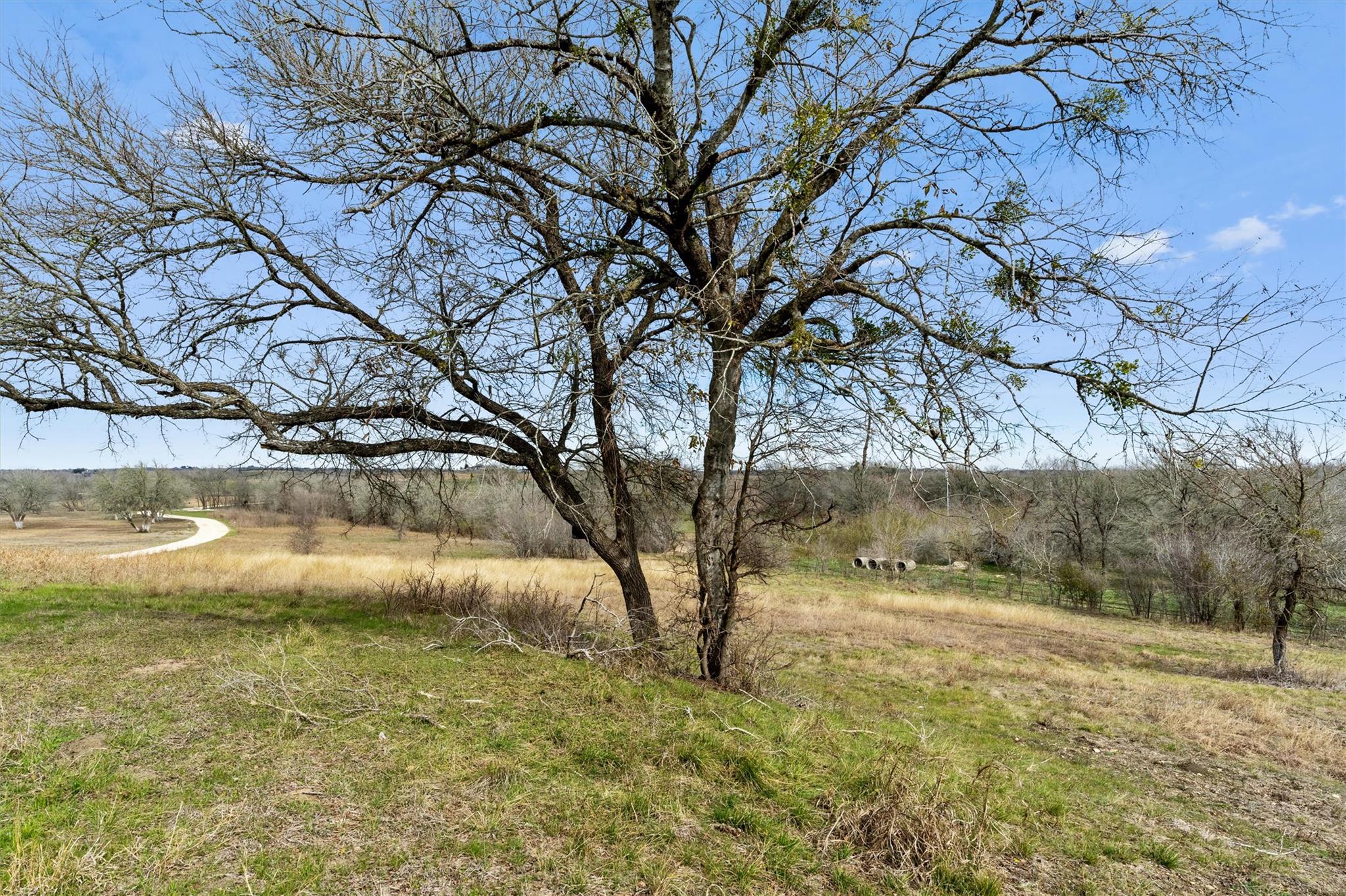 Image 36 of 38 For 00 Rolling Ridge Rd