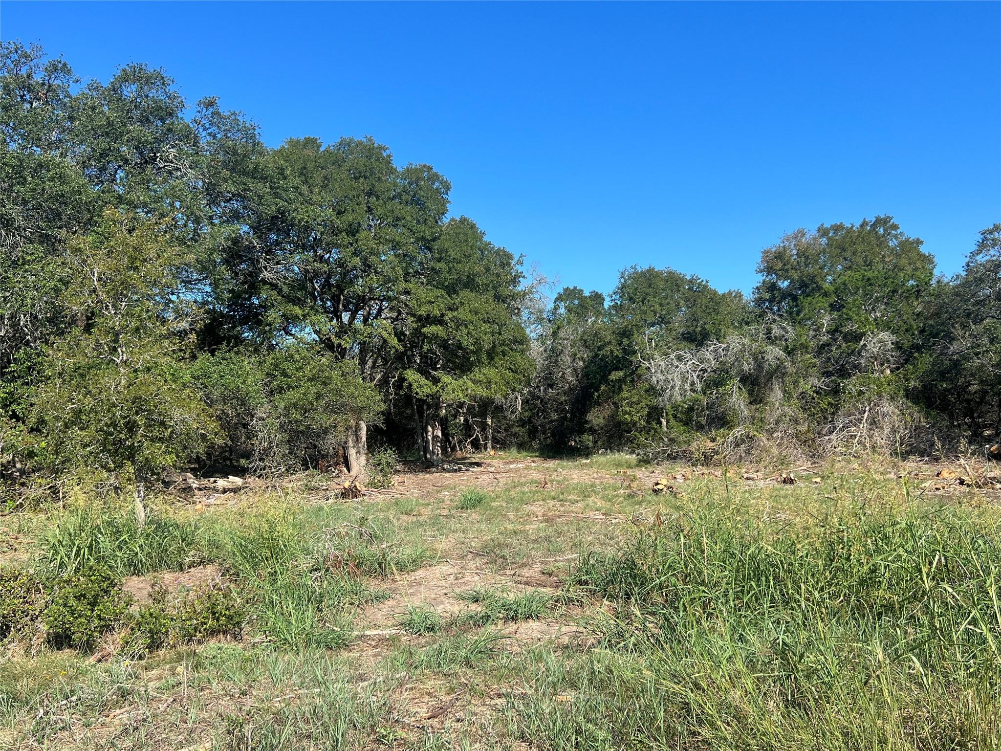 Details for Tbd Narrows Rd, Blanco, TX 78606