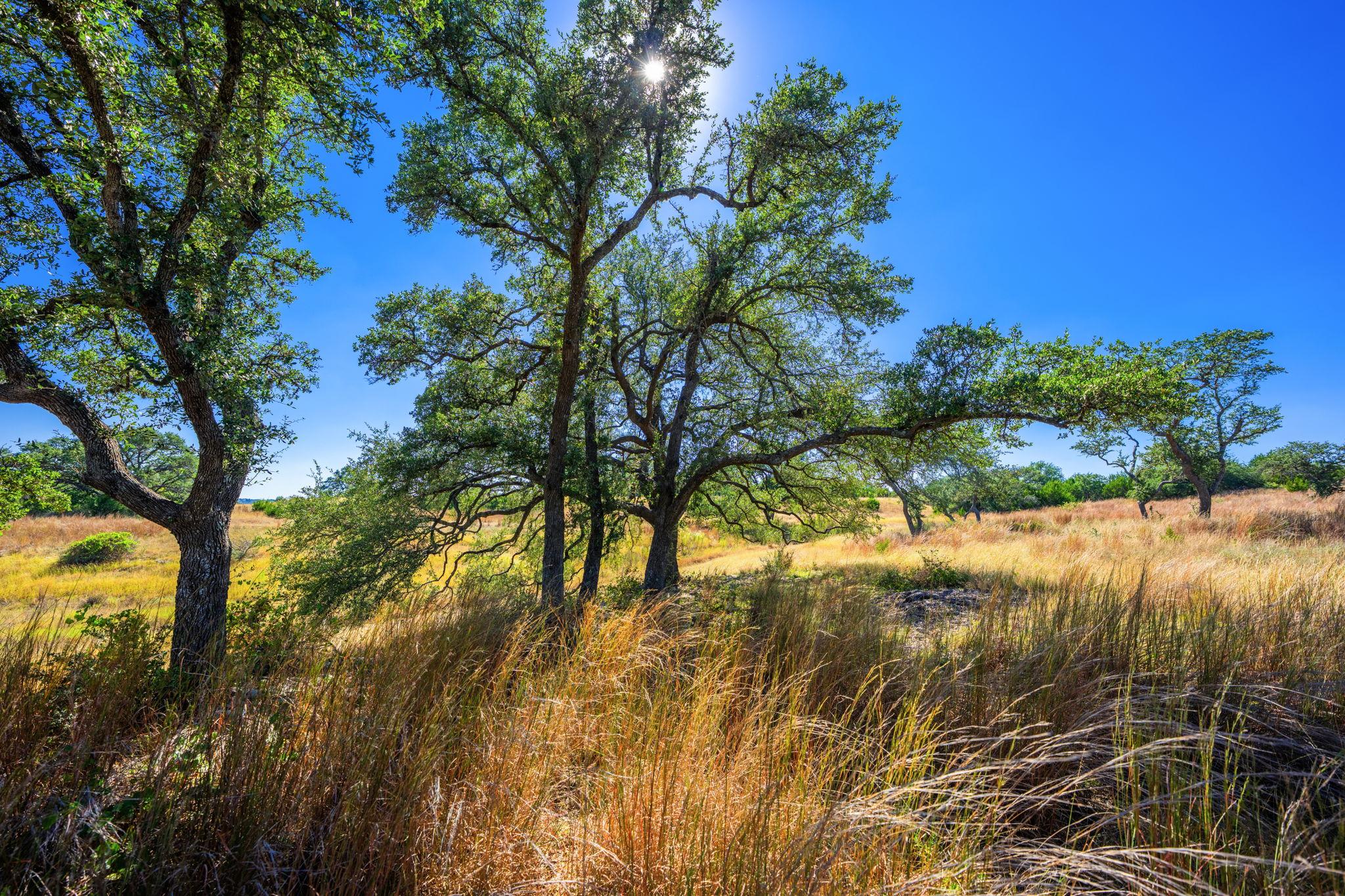 Image 10 of 23 For 1495 Walnut Springs Rd