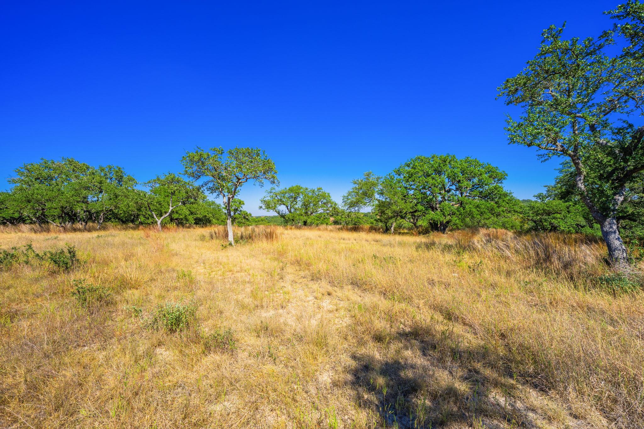 Image 12 of 23 For 1495 Walnut Springs Rd