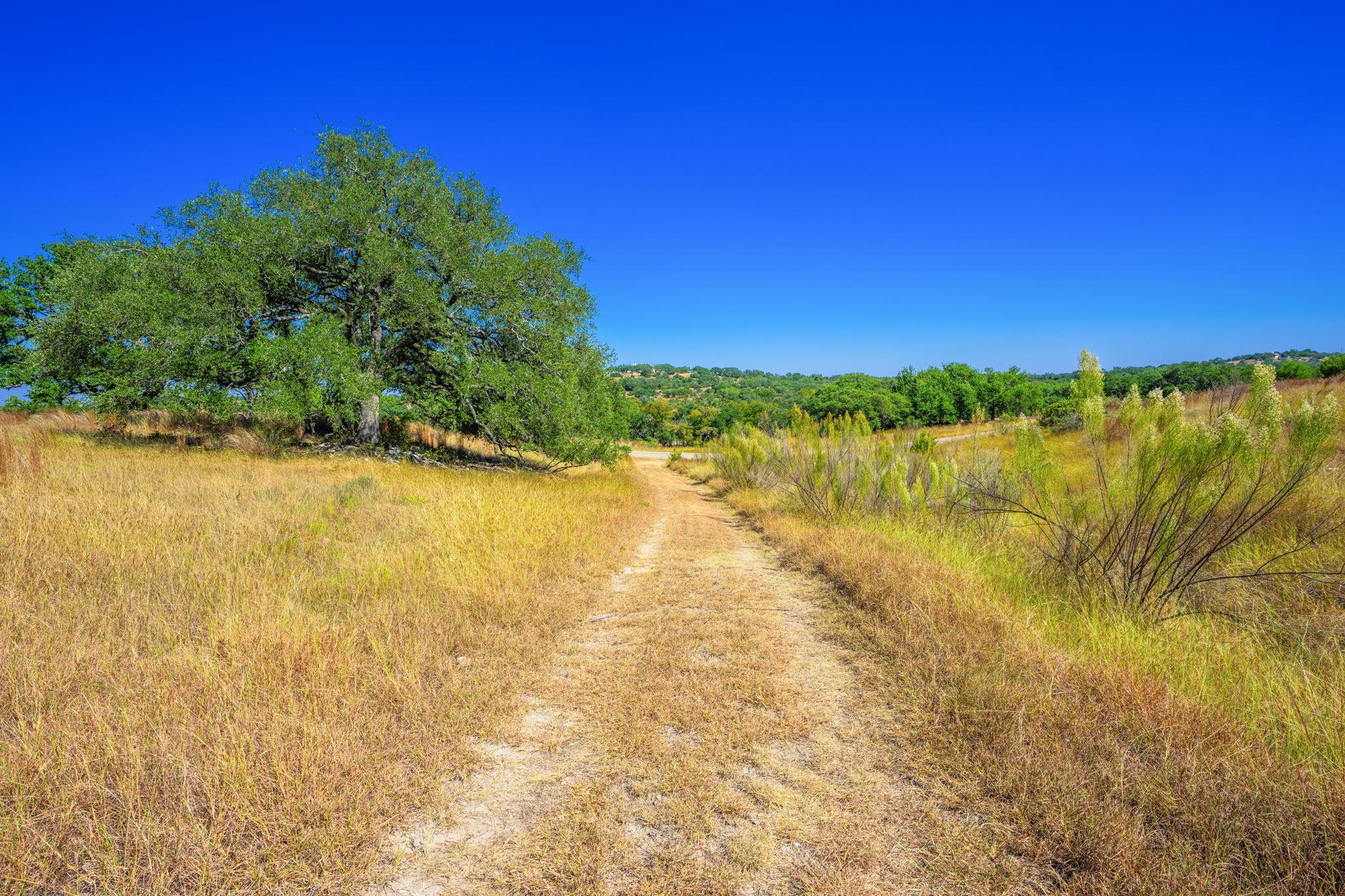 Image 13 of 23 For 1495 Walnut Springs Rd