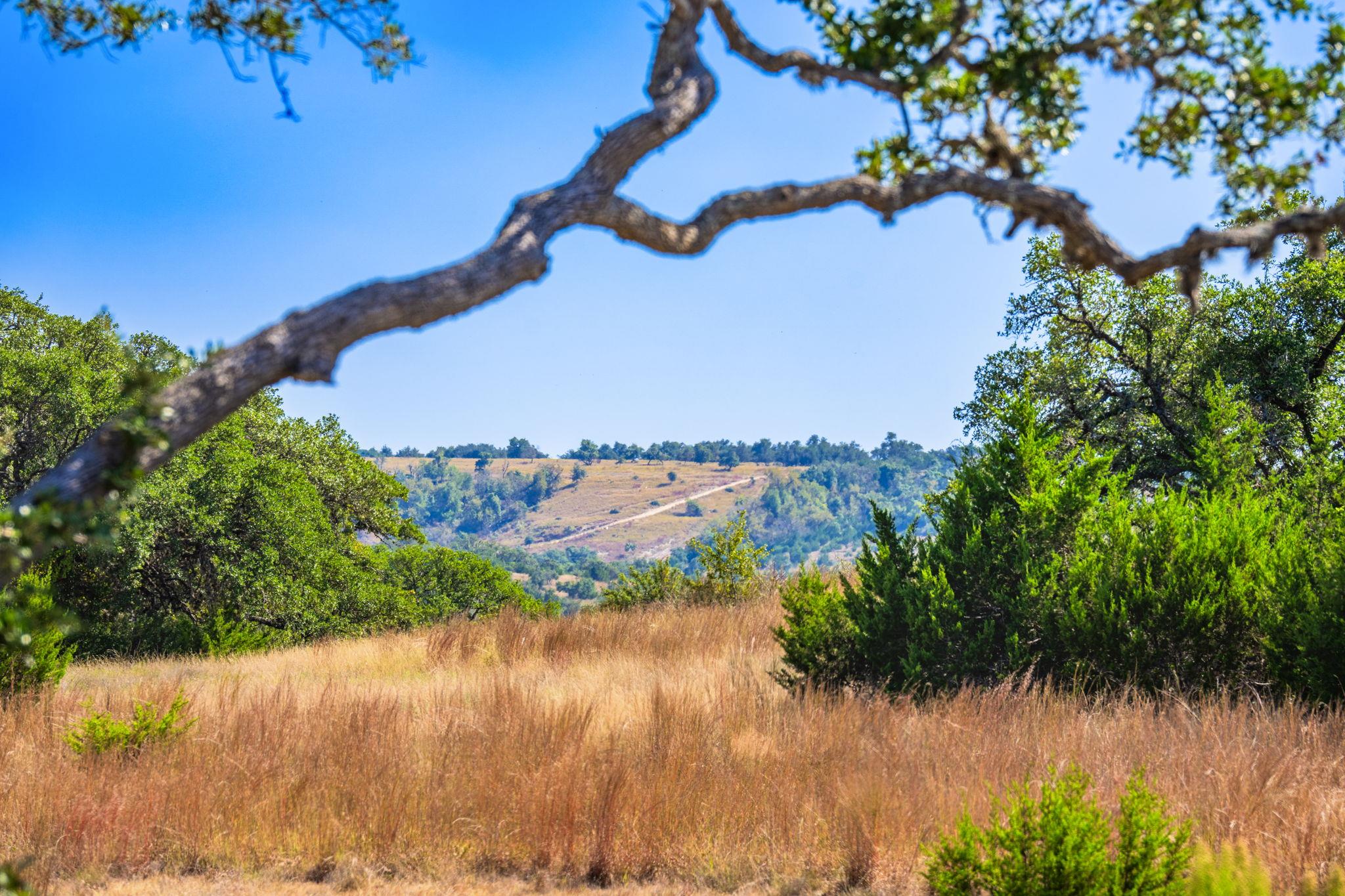 Image 18 of 23 For 1495 Walnut Springs Rd