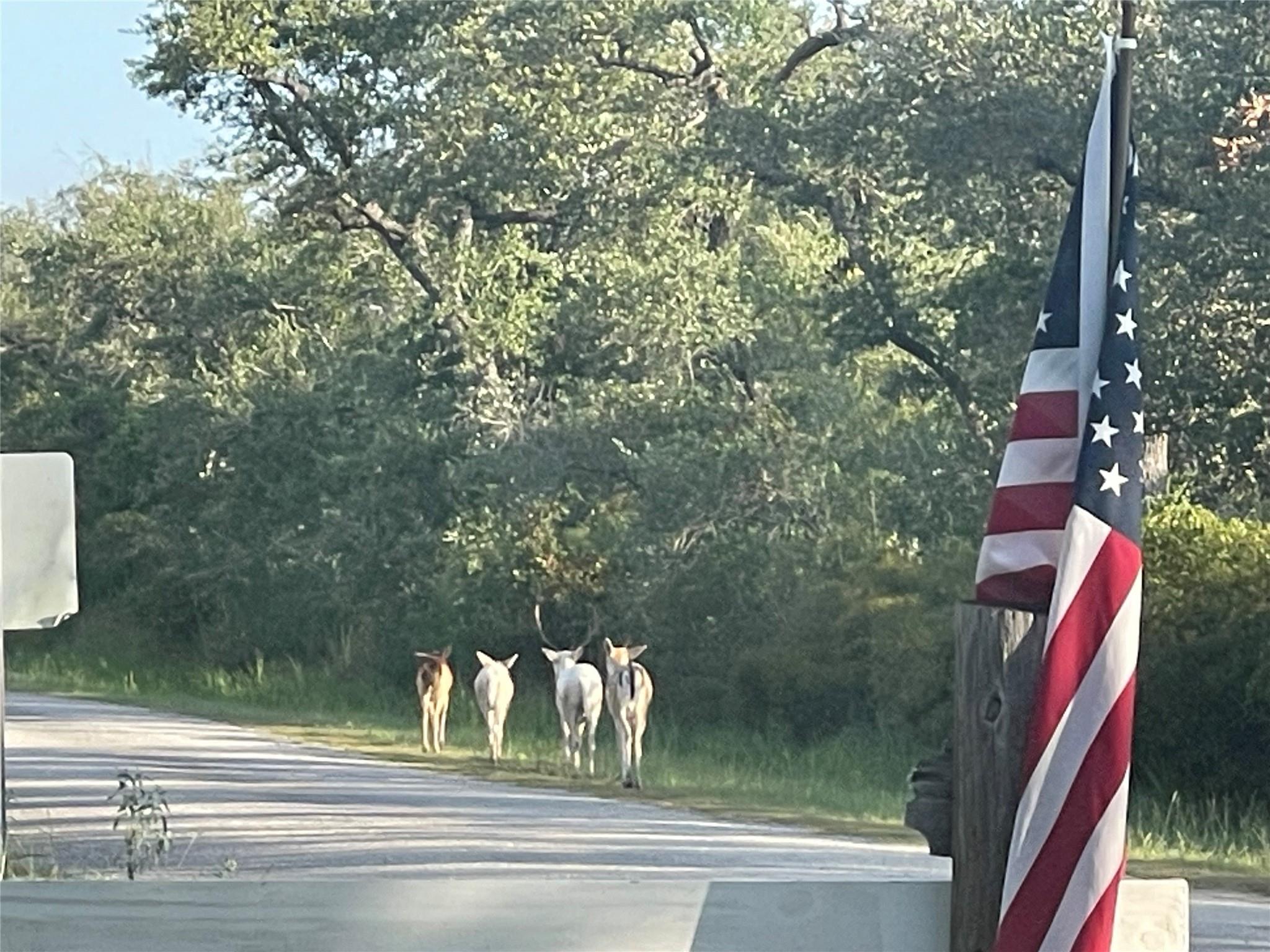 Image 39 of 39 For 322-342 Whispering Woods Dr